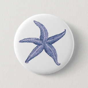 Schöne Blaue Seestern-Illustration Button