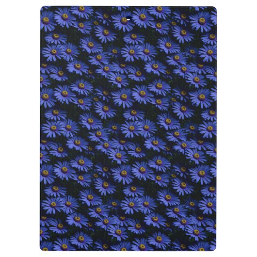 Schöne blaue Stifte Klemmbrett (Rückseite)