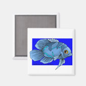 Schöne blaue tropische Oscar-Fische Magnet (Vorderseite/Rückseite)