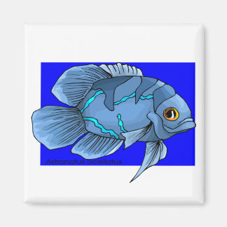 Schöne blaue tropische Oscar-Fische Magnet