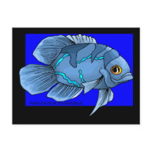 Schöne blaue tropische Oscar-Fische