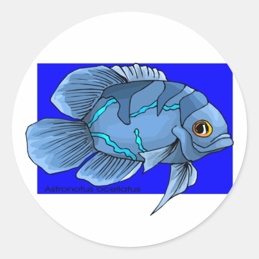 Schöne blaue tropische Oscar-Fische Runder Aufkleber (Vorderseite)