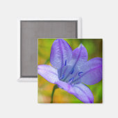 Schöne blaue Wildblume Magnet (Vorderseite/Rückseite)