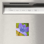 Schöne blaue Wildblume Magnet (In Situ (Geschirrspüler))
