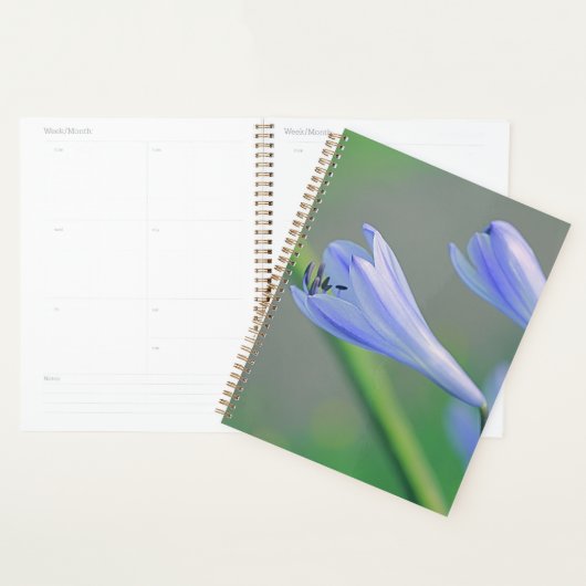 Schöne, bläuliche Lila Blume Planer (Anzeige)