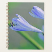 Schöne, bläuliche Lila Blume Planer (Vorderseite)