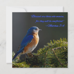 Schöne Blaumeise Trostkarte Matthäus 5:4 Feiertagskarte