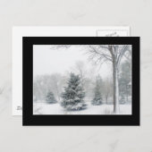 Schöne Blizzard Postkarte (Vorne/Hinten)