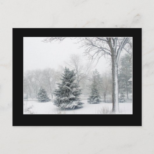 Schöne Blizzard Postkarte (Vorderseite)