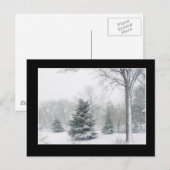 Schöne Blizzard Postkarte - individuell angepasst (Vorne/Hinten)