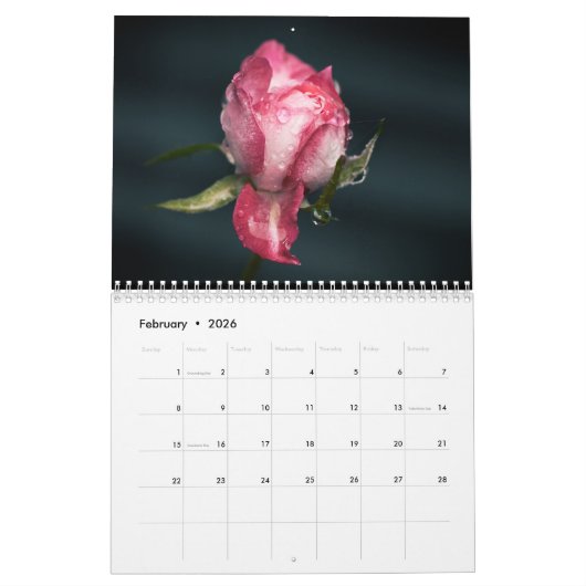 Schöne Blooms Vol 3 Kalender (Feb 2026)