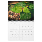 Schöne Blooms Vol 3 Kalender (Mär 2027)