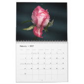 Schöne Blooms Vol 3 Kalender (Feb 2027)
