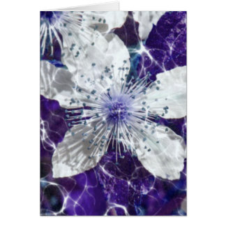 Schöne Blossom-Blume