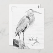 Schöne Blue Heron Water Bird Sketch Vielen Dank Postkarte (Vorne/Hinten)
