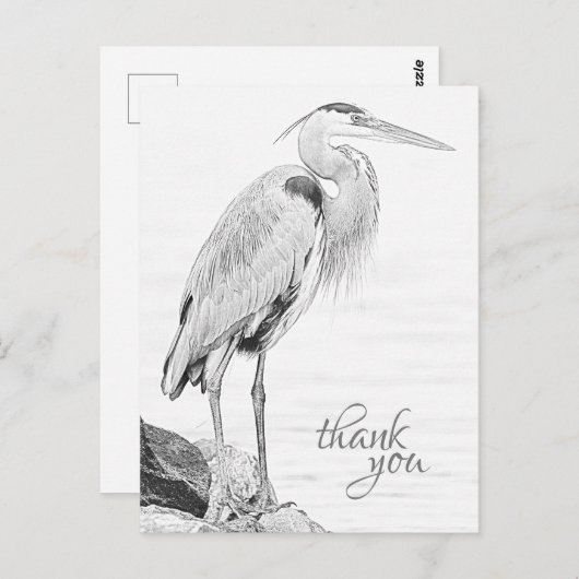 Schöne Blue Heron Water Bird Sketch Vielen Dank Postkarte (Vorne/Hinten)