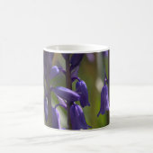 Schöne Bluebell Blume Tasse (Mittel)