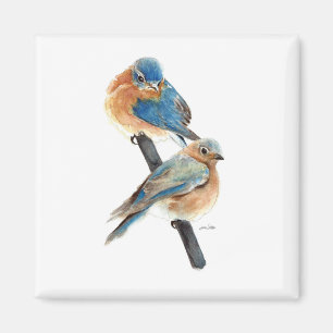 Schöne Bluebird Couture Watercolor Art Magnet