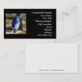 Schöne Bluebird-Visitenkarte Visitenkarte (Vorne/Hinten)