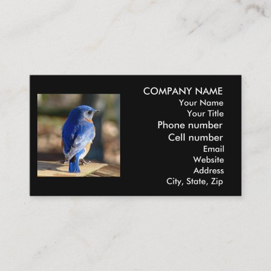 Schöne Bluebird-Visitenkarte Visitenkarte (Vorderseite)
