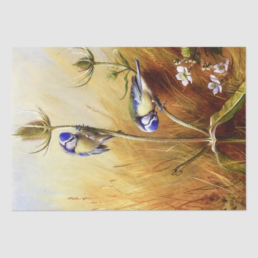 Schöne Bluebirts auf einem Teasel Vintage Wasserfa Seidenpapier (Vorderseite)