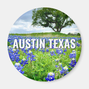 Schöne Bluebonnets Austin Texas Fotografie Magnet