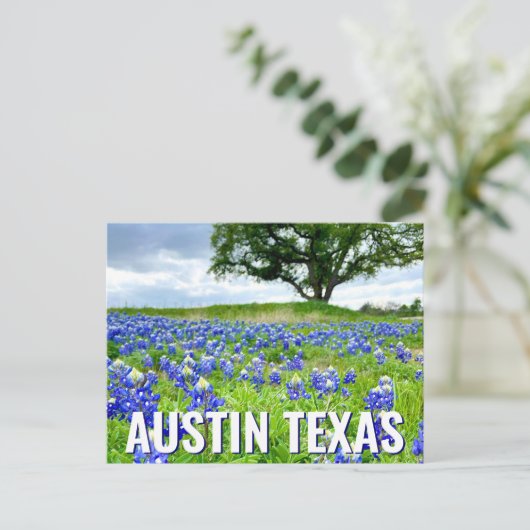 Schöne Bluebonnets Austin Texas Fotografie Postkarte (Stehend Vorderseite)