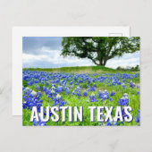 Schöne Bluebonnets Austin Texas Fotografie Postkarte (Vorne/Hinten)