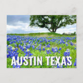 Schöne Bluebonnets Austin Texas Fotografie Postkarte (Vorderseite)