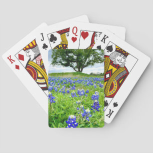 Schöne Bluebonnets Texas Fotografie Spielkarten
