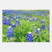 Schöne Bluebonnets Texas Fotografy Geschenkpapier Set (Vorderseite 3)