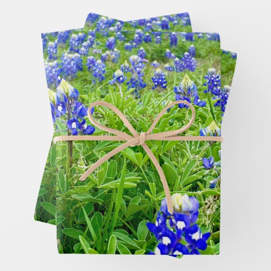 Schöne Bluebonnets Texas Fotografy Geschenkpapier Set (Beispiel)