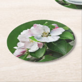 Schöne blühende Apfelbaum-Frühlingssender-Unterset Runder Pappuntersetzer (Angewinkelt)