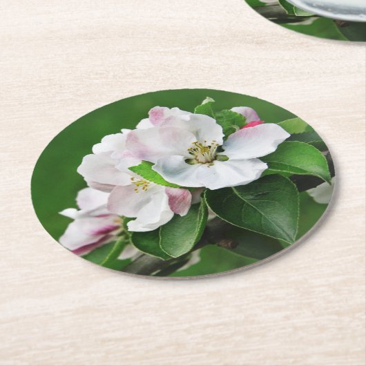 Schöne blühende Apfelbaum-Frühlingssender-Unterset Runder Pappuntersetzer (Angewinkelt)