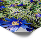 Schöne blühende Pflanze Poster (Ecke)