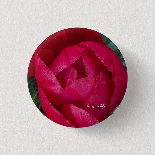 Schöne blühende Rote Peony Button (Vorderseite)