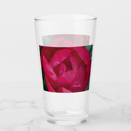 Schöne blühende Rote Peony Glas (Rückseite)