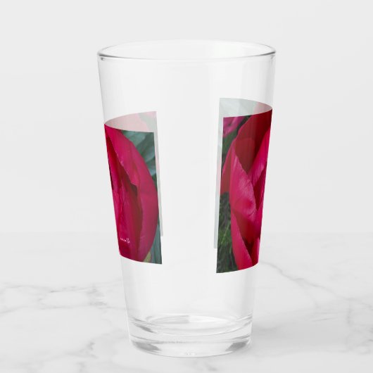 Schöne blühende Rote Peony Glas (Rechts)