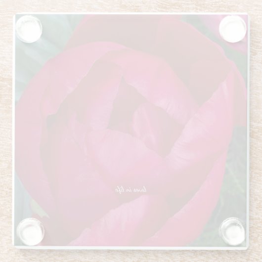 Schöne blühende Rote Peony Glasuntersetzer (Rückseite)