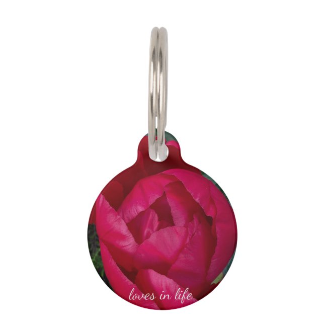 Schöne blühende Rote Peony Haustiermarke (Vorderseite)