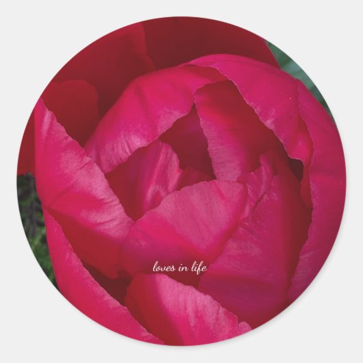 Schöne blühende Rote Peony Runder Aufkleber (Vorderseite)