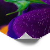 Schöne blühende Stiefmütterchen im Garten Poster (Ecke)