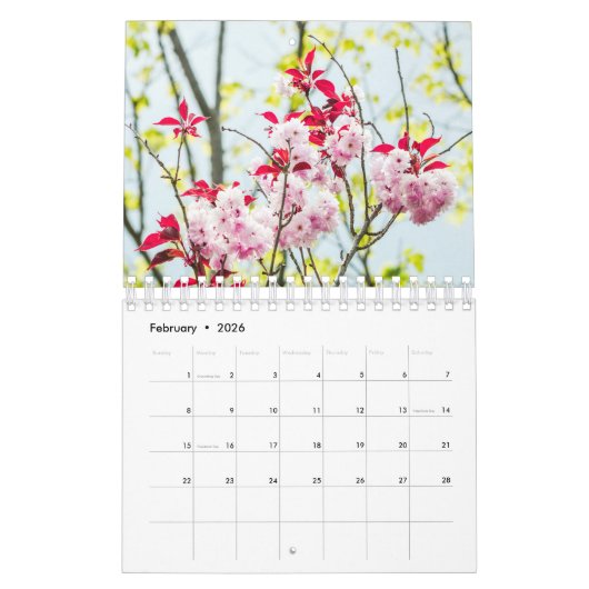 Schöne BLUME 12 Monate kleiner Kalender (Feb 2026)
