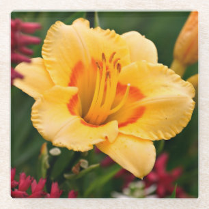 Schöne Blume aus Gelb und Orange Liege Glasuntersetzer