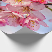 Schöne Blume aus rosa Sakura Geschenkpapier (Ecke)