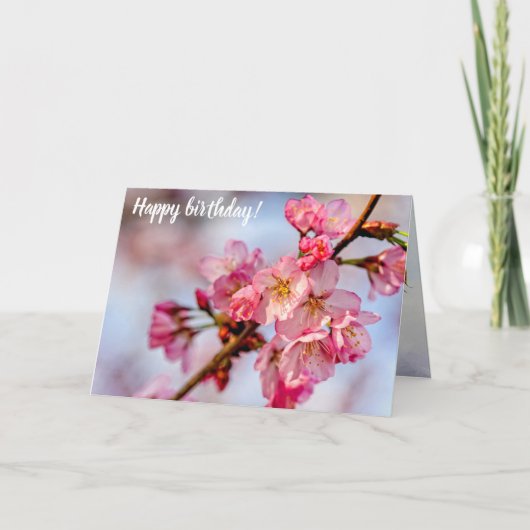 Schöne Blume aus rosa Sakura im Frühling Karte (Vorderseite)