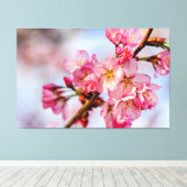 Schöne Blume aus rosa Sakura im Frühling Leinwanddruck (Insitu (Holzboden))