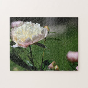 Schöne Blume aus weißem und rosafarbenem Peony im  Puzzle
