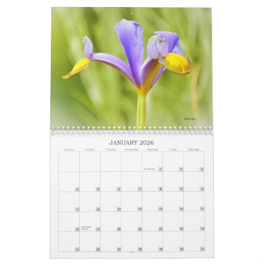 Schöne Blume Blumenkalender Kalender (Jan 2026)