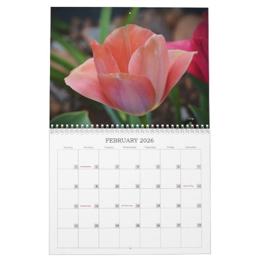 Schöne Blume Blumenkalender Kalender (Feb 2026)